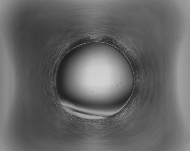 X0000111781249200907231116