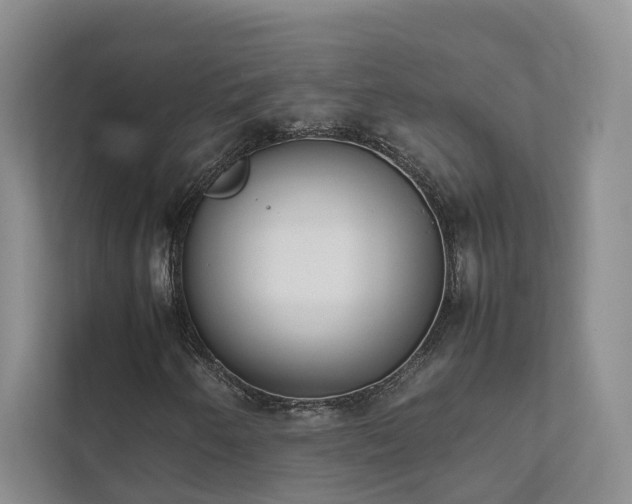 X0000111781250200907231116