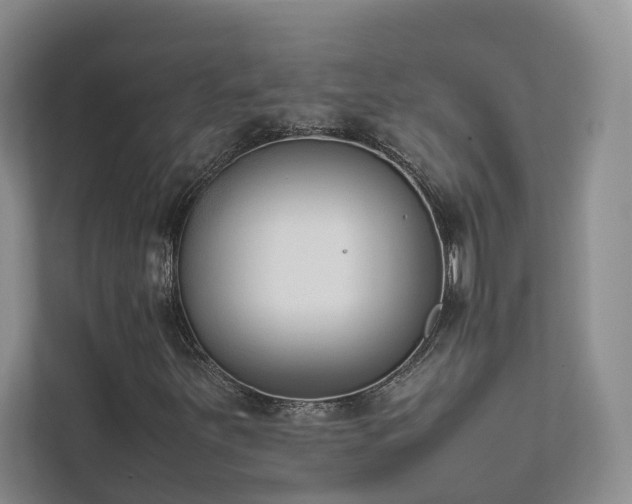 X0000111781251200907231116