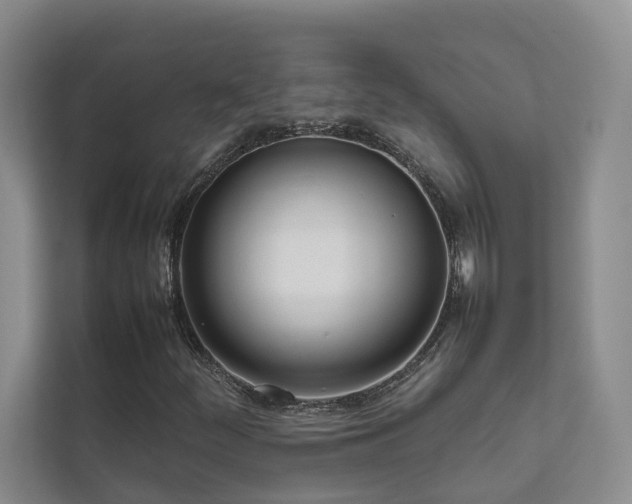 X0000111781252200907231116