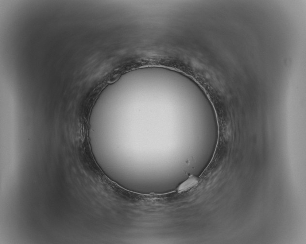 X0000111781253200907231115