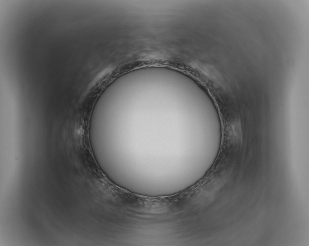 X0000111781254200907231115