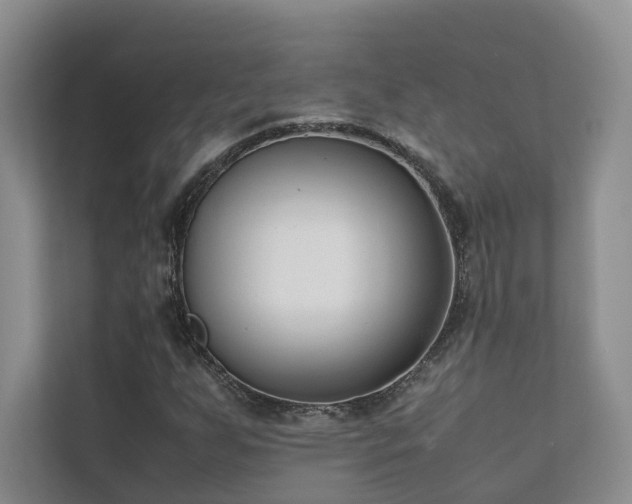 X0000111781255200907231115