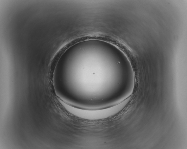 X0000111781256200907231115