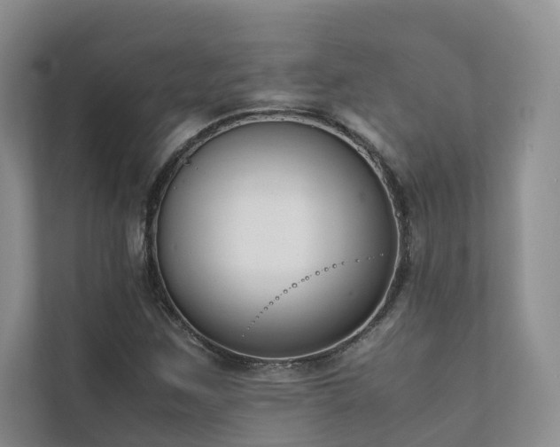 X0000111781259200907231115