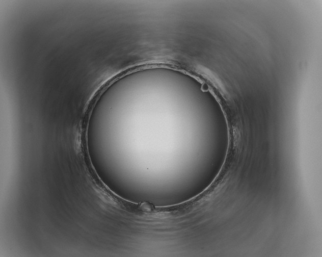 X0000111781260200907231115