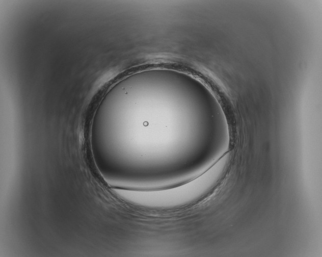 X0000111781261200907231115