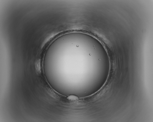 X0000111781262200907231115