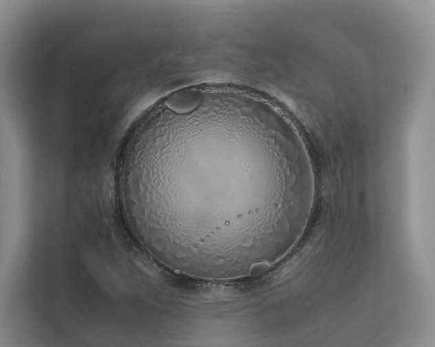 X0000111781263200907231115