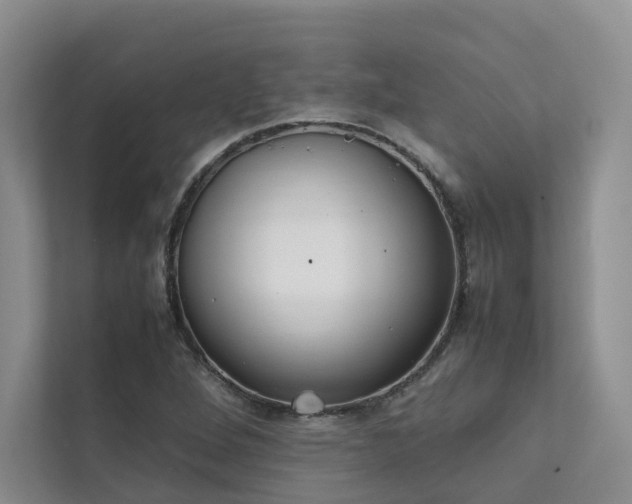 X0000111781264200907231115