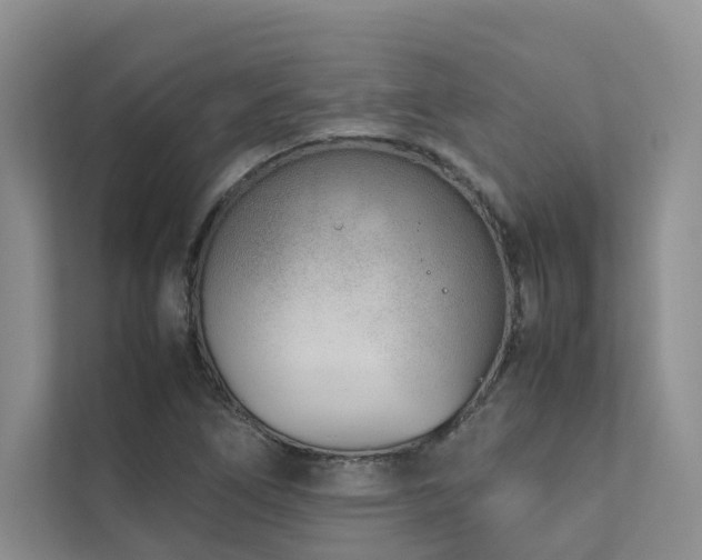 X0000111781266200907231115