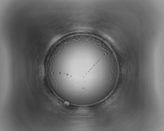 X0000111781267200907231115