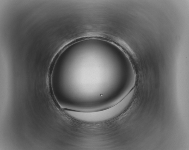 X0000111781268200907231115