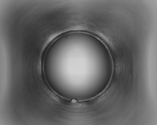 X0000111781270200907231115