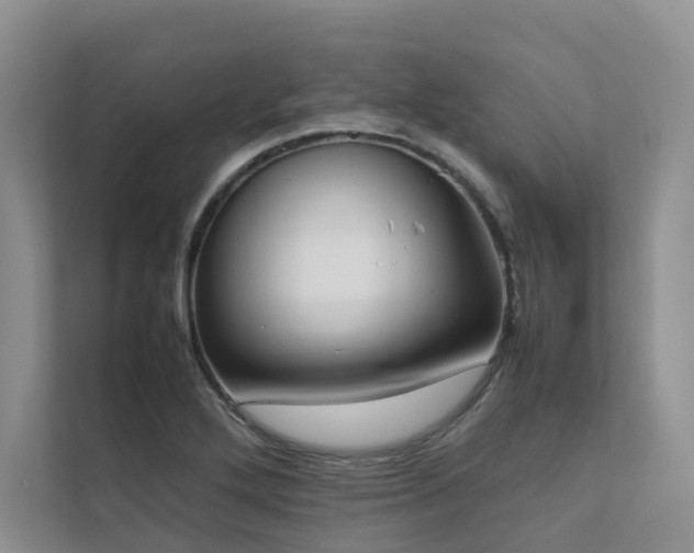 X0000111781272200907231115