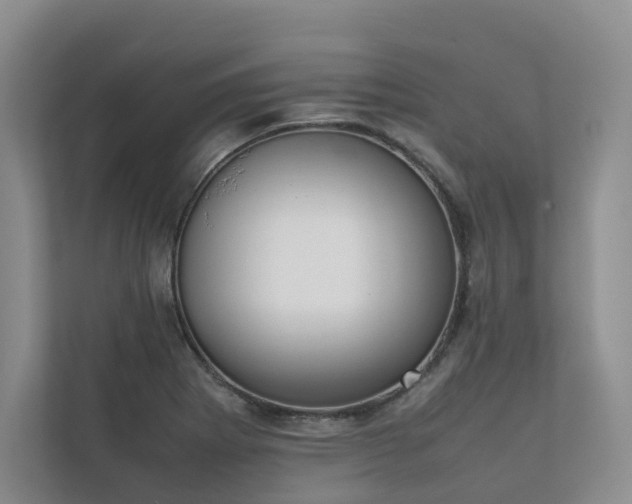 X0000111781273200907231115