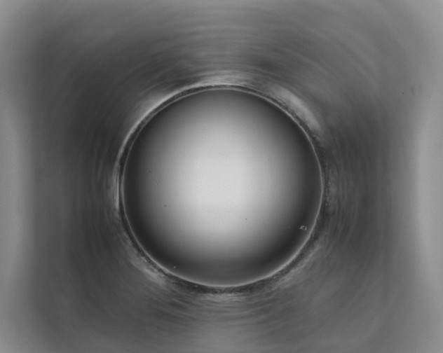 X0000111781276200907231115