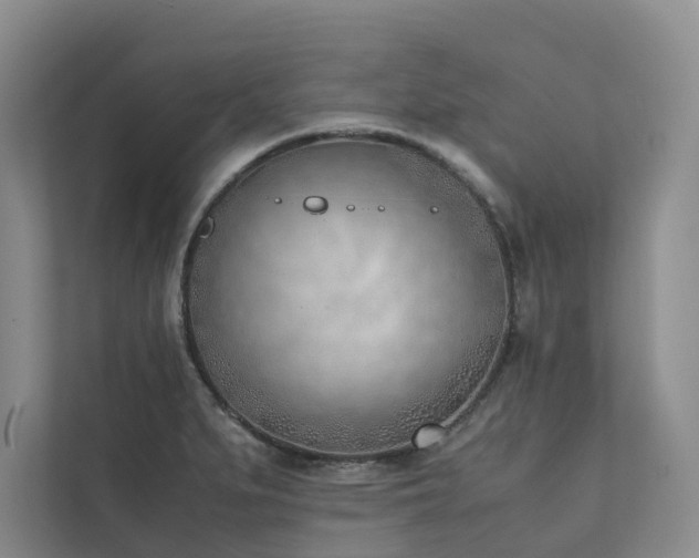 X0000111781279200907231115