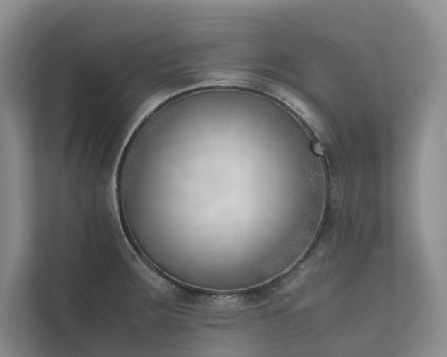 X0000111781283200907231115
