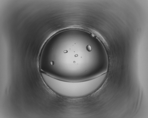 X0000111781284200907231115