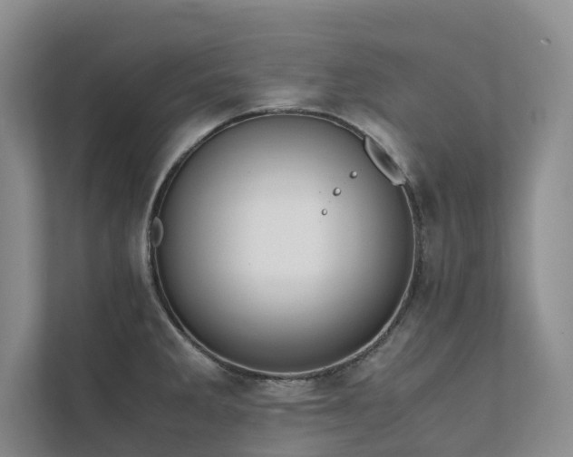 X0000111781285200907231115