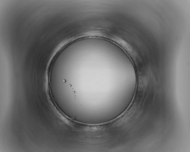 X0000111781286200907231115