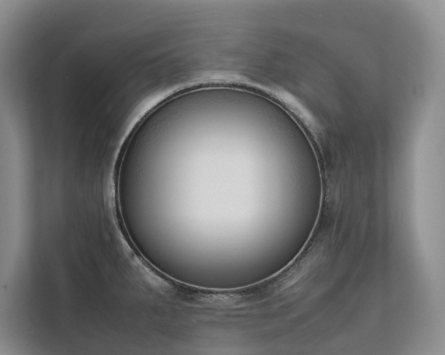 X0000111781287200907231115