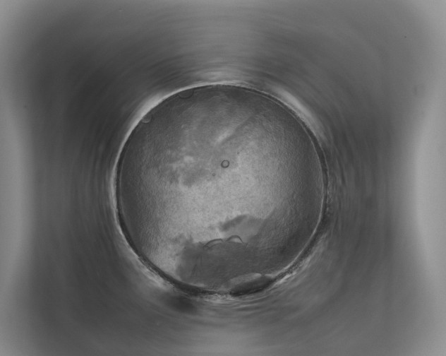 X0000111781291200907231115