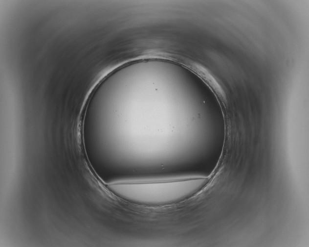 X0000111781292200907231115