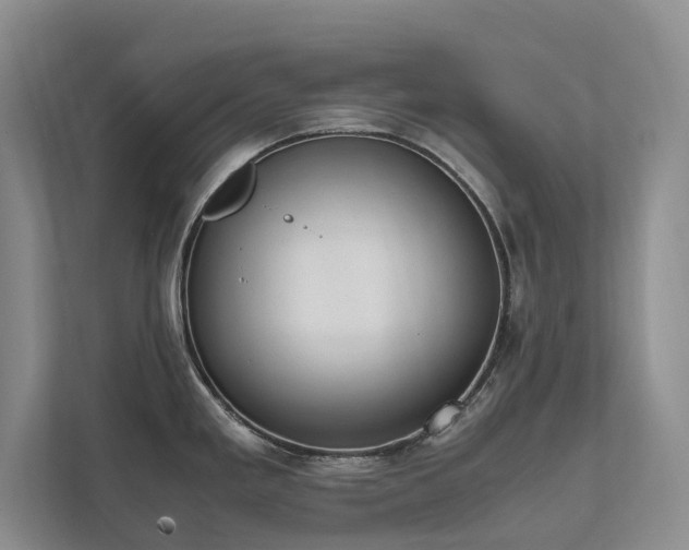 X0000111781293200907231115