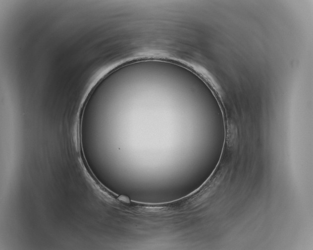 X0000111781295200907231115