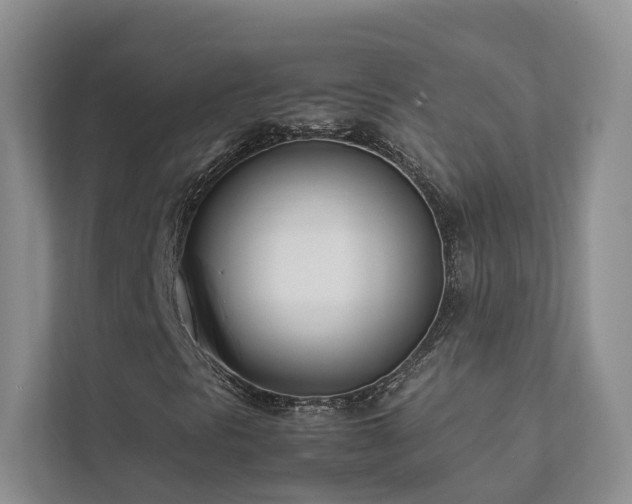X0000111781297200907231114