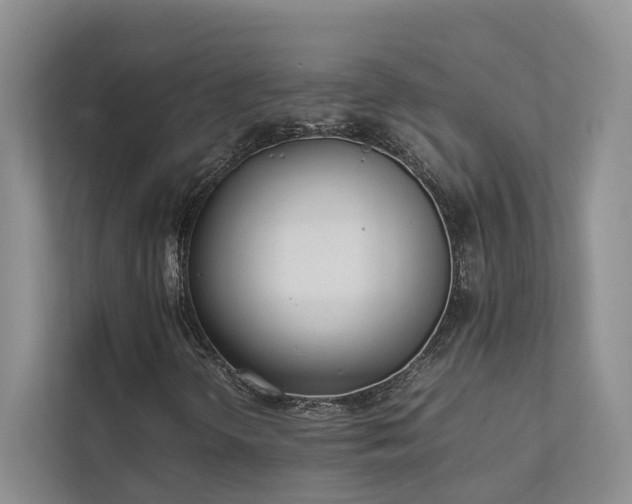 X0000111781298200907231114