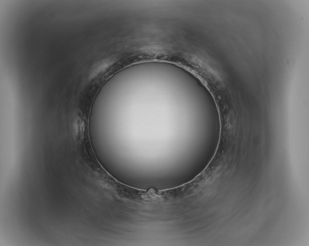 X0000111781302200907231114