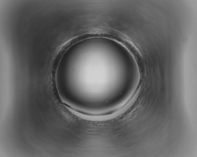 X0000111781304200907231114