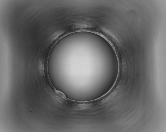 X0000111781305200907231114
