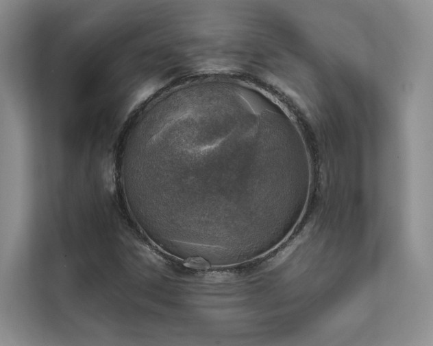 X0000111781306200907231114