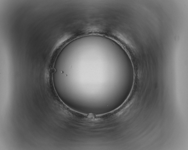 X0000111781309200907231114