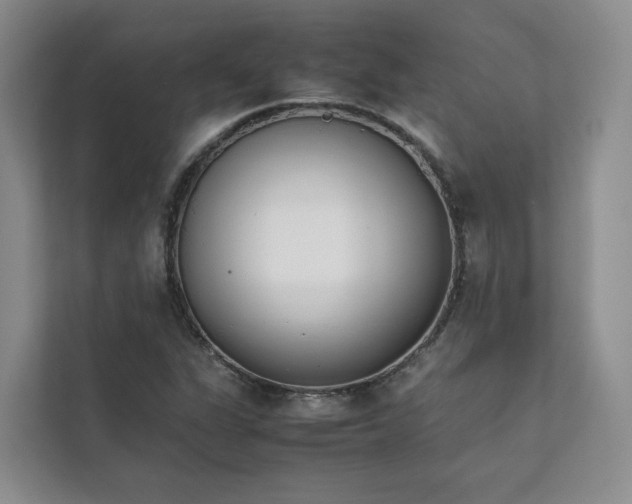 X0000111781311200907231114