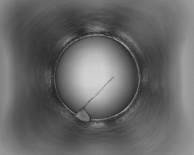 X0000111781313200907231115