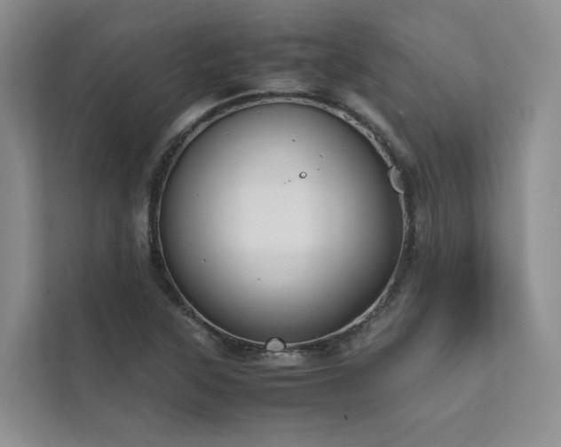 X0000111781315200907231115