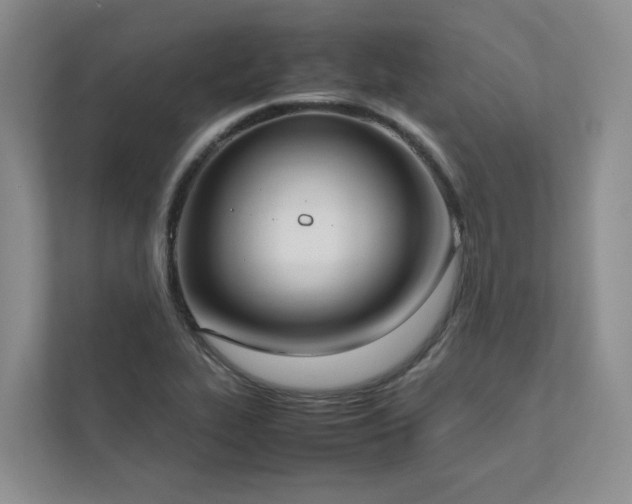 X0000111781319200907231115