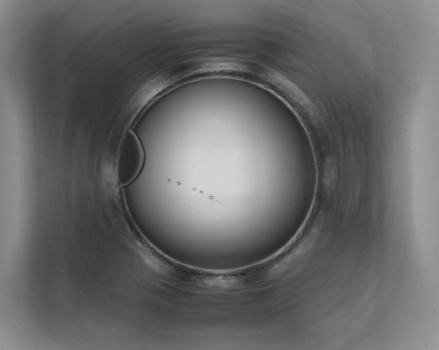 X0000111781321200907231115