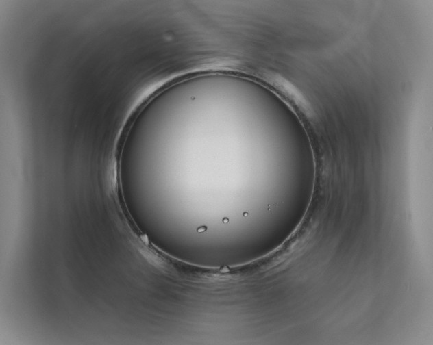 X0000111781324200907231115
