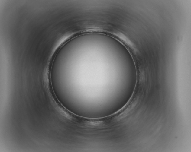 X0000111781325200907231115