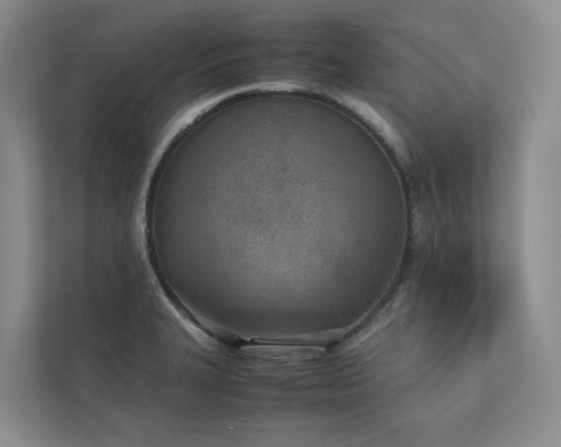 X0000111781327200907231115