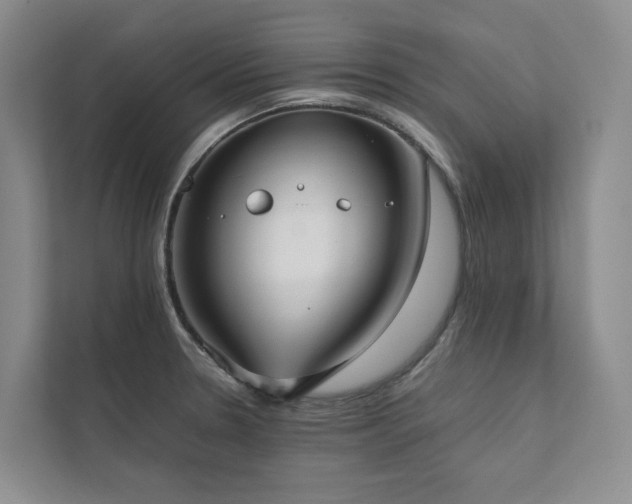 X0000111781330200907231115