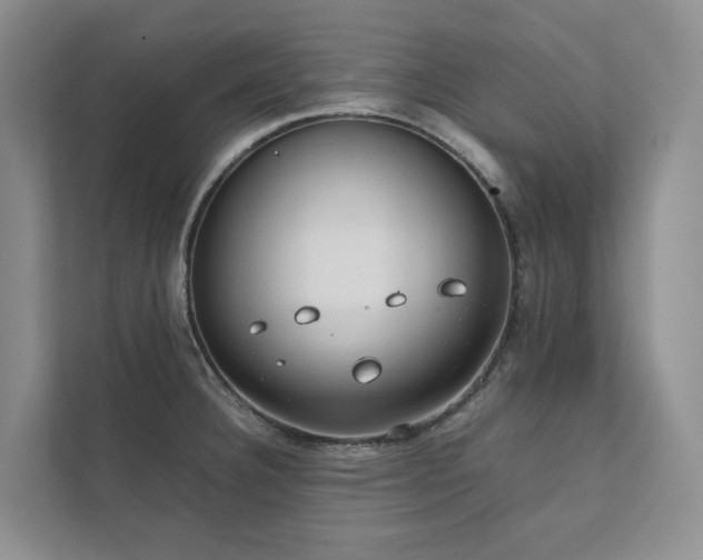 X0000111781332200907231115