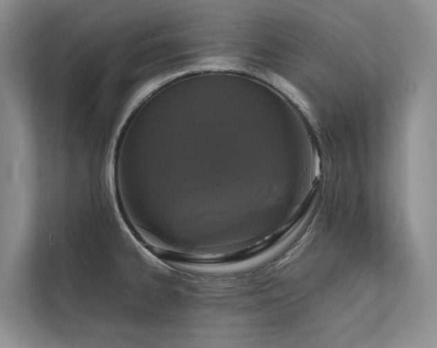 X0000111781334200907231115