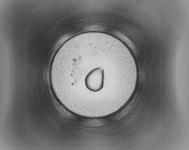 X0000111781338200907231115